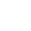 icon1.1