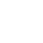 icon2.1
