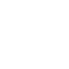icon3.1